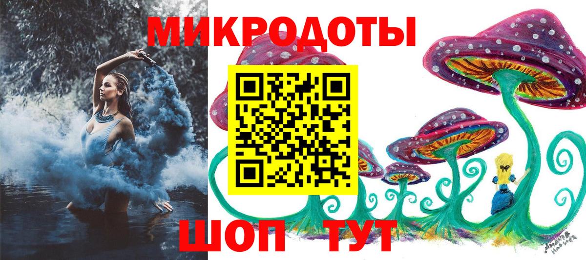 Псилоцибиновые грибы мицелий Будённовск