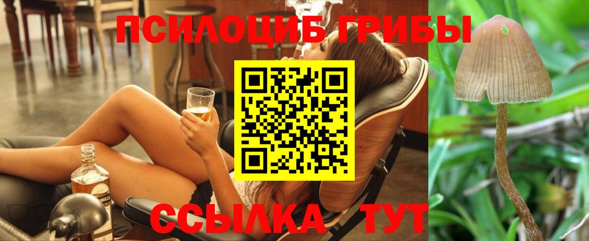 Галлюциногенные грибы Magic Shrooms  Вход с VPN  Будённовск 